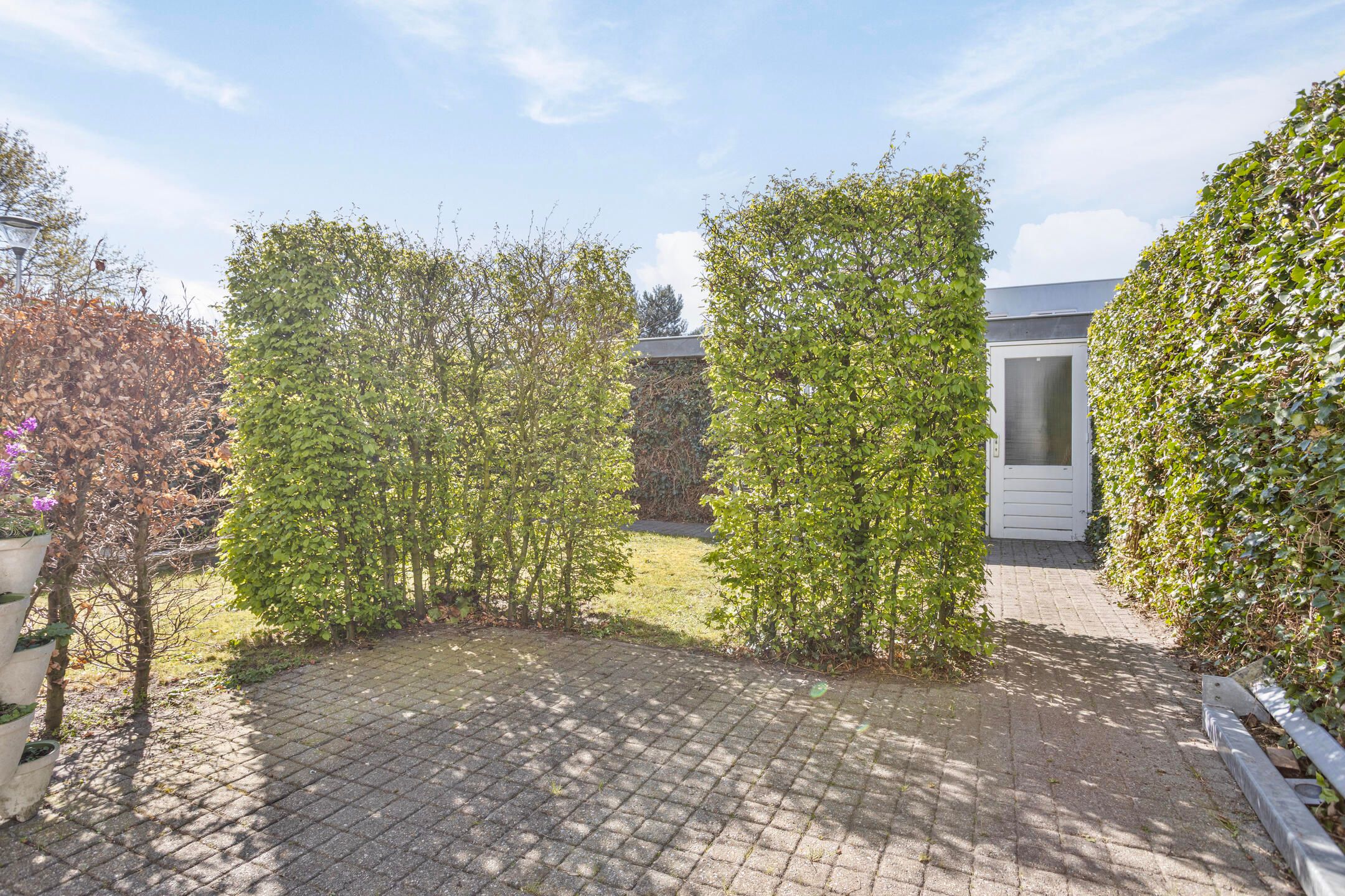 Foto 36 van Schipluidenlaan 193