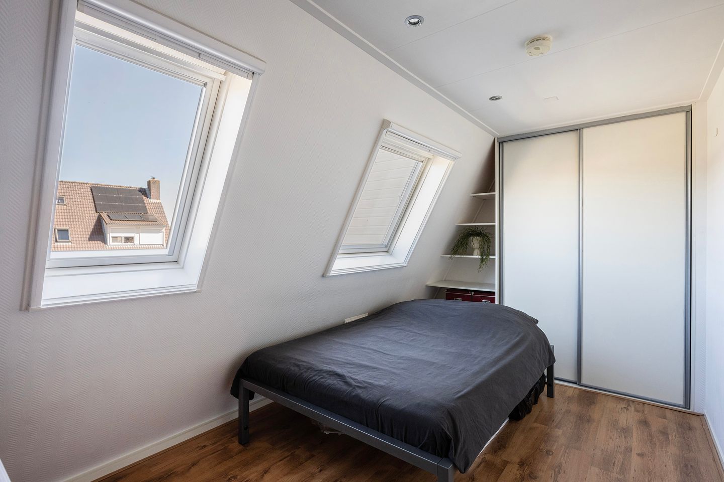 Foto 20 van Rietsnit 10