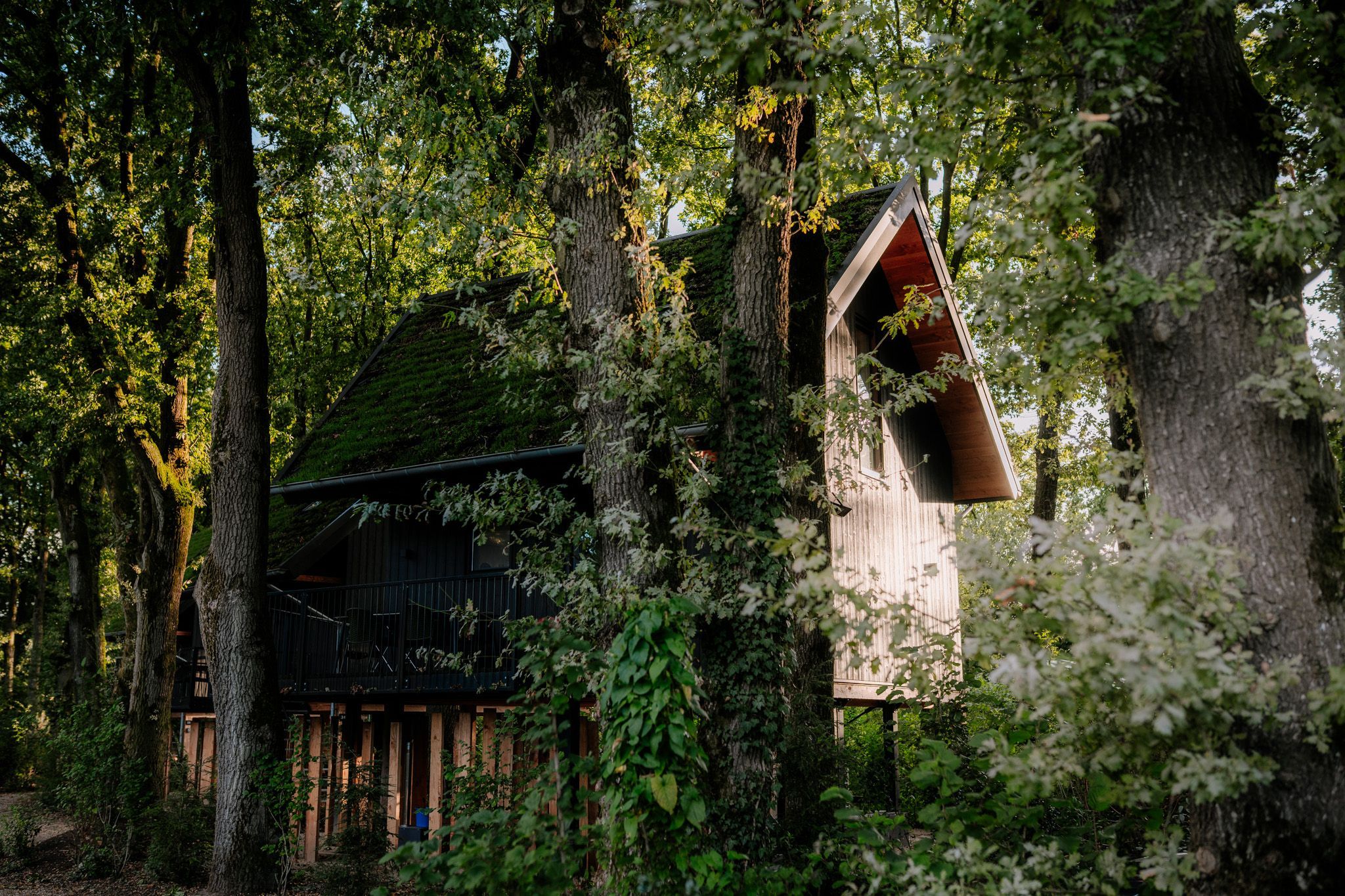 Foto 15 van Roekelseweg 54-R30