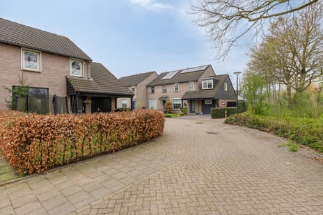 Hurk 3 tertiary image