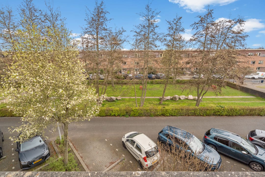 Foto 43 van Rapijnenpolder 9