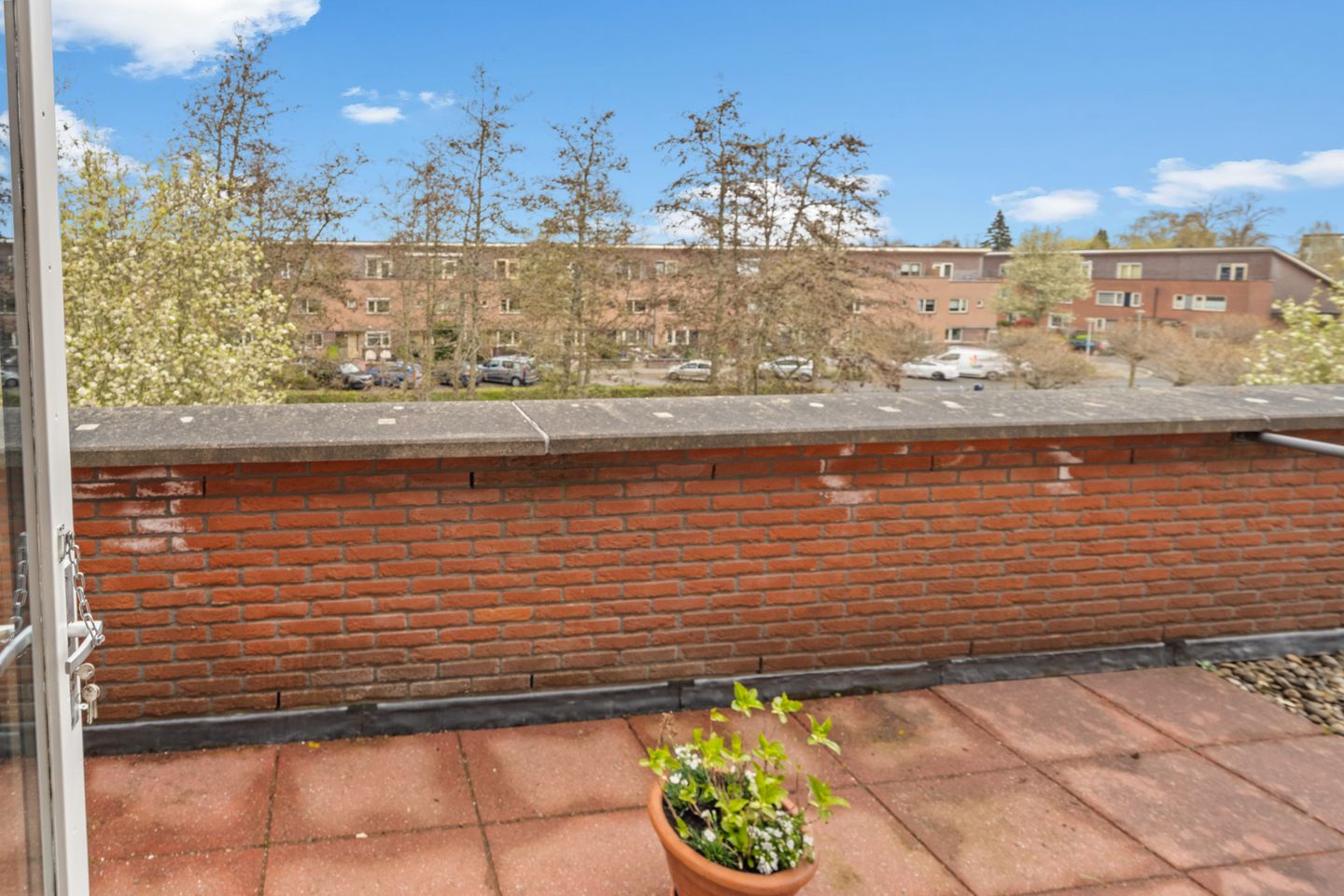 Foto 40 van Rapijnenpolder 9