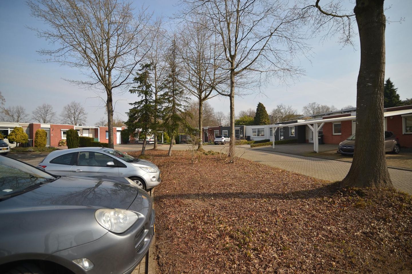 Photo 5 of Unicefplantsoen 18