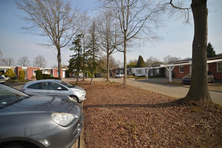 Photo 5 of Unicefplantsoen 18