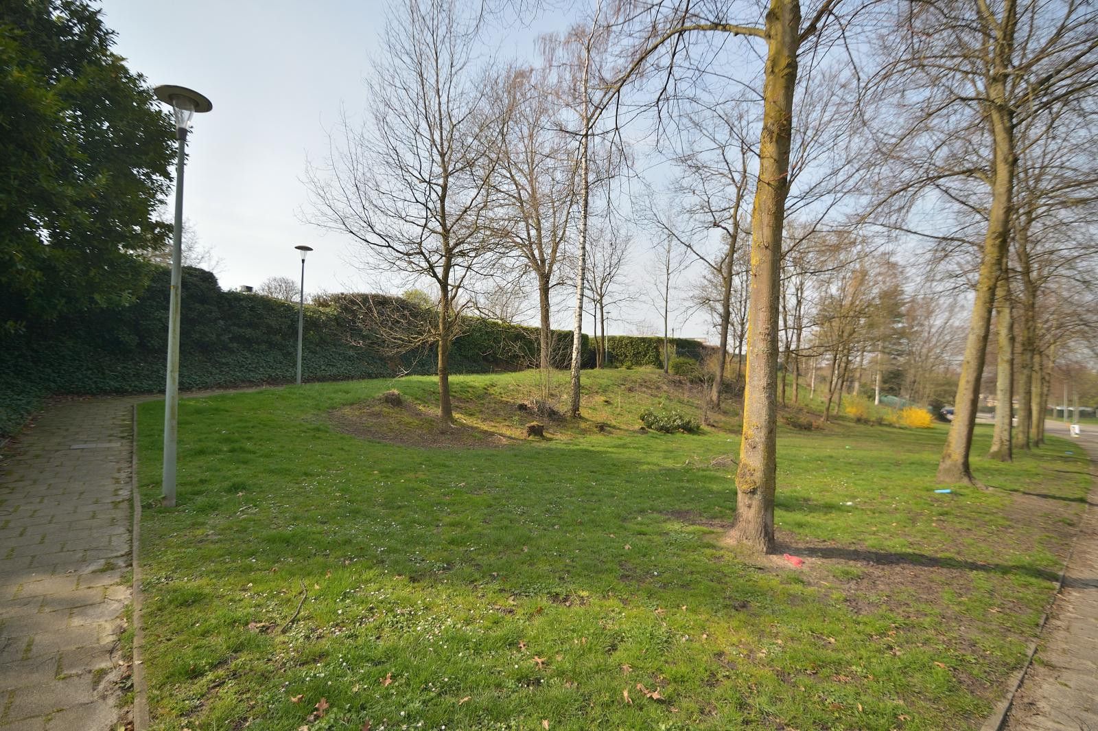 Photo 36 of Unicefplantsoen 18