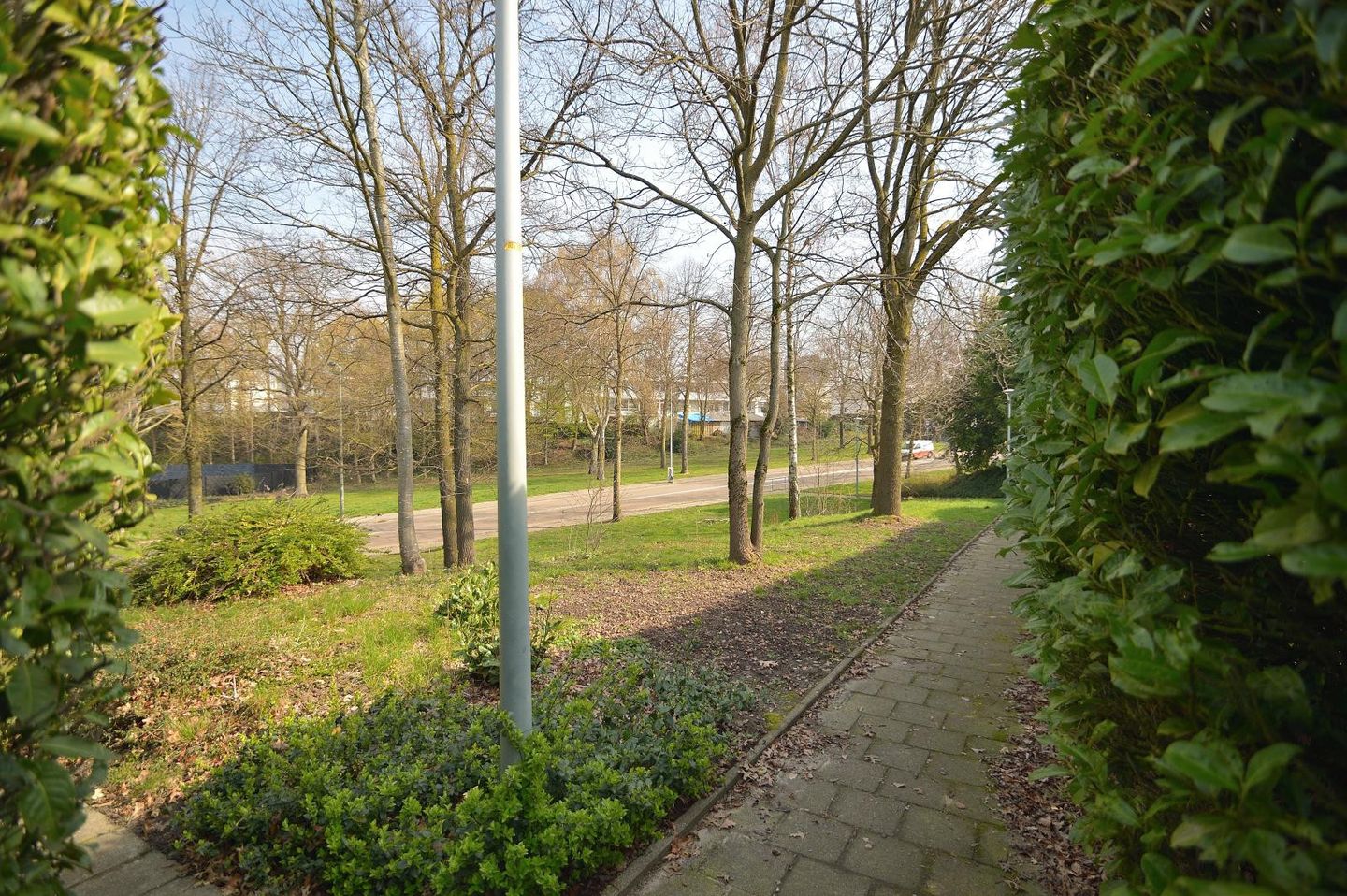 Photo 35 of Unicefplantsoen 18