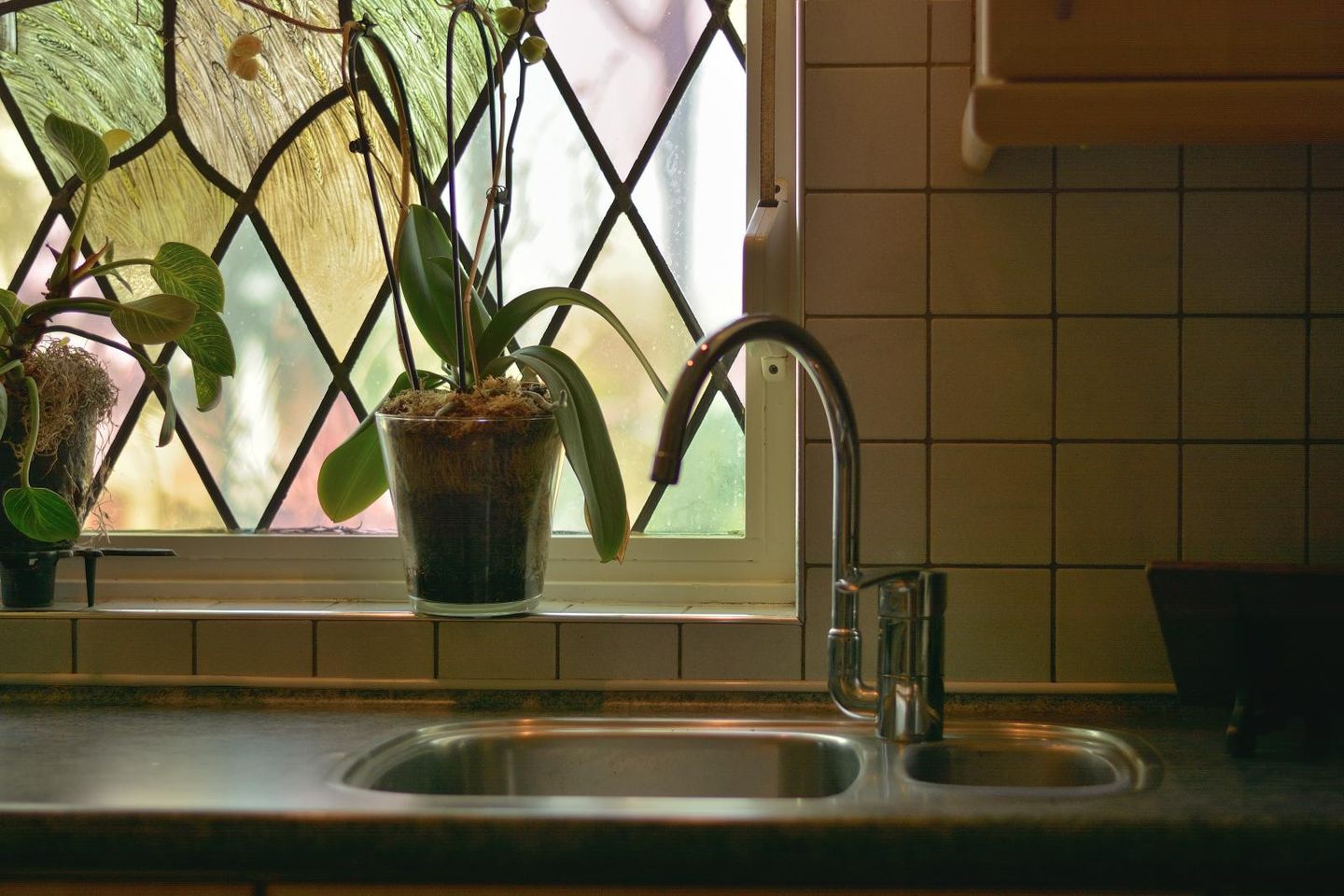 Photo 14 of Unicefplantsoen 18