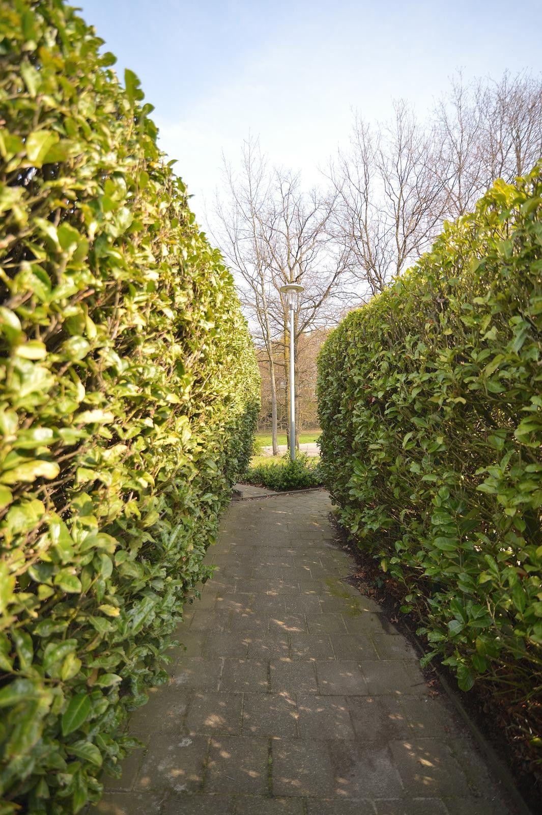 Photo 34 of Unicefplantsoen 18