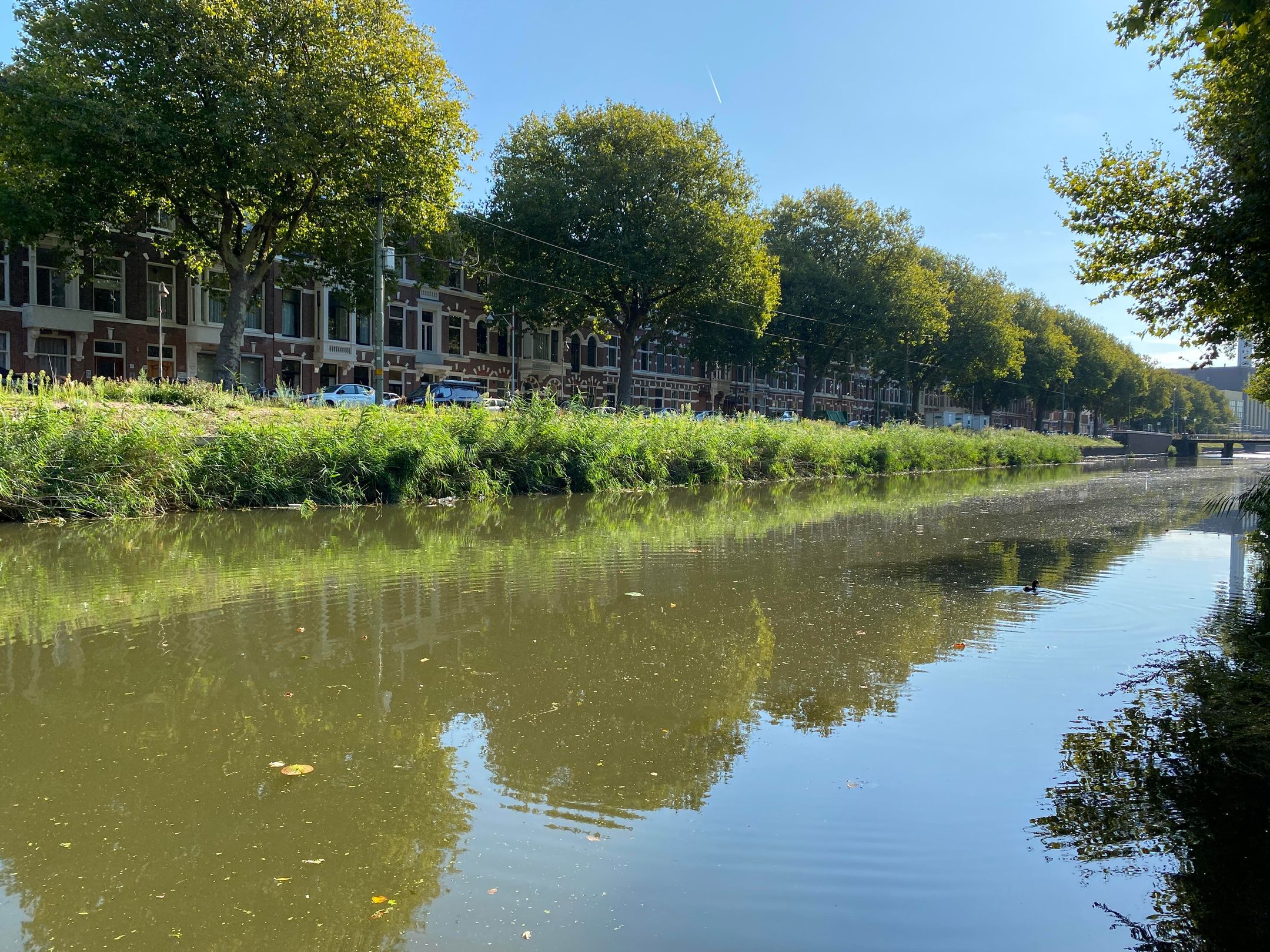 Foto 18 van Suezkade 94-A