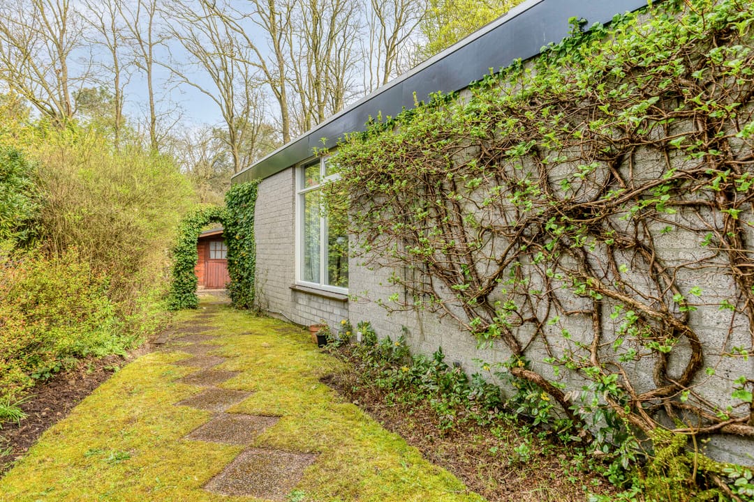 Foto 28 van Luijtenbroek 28