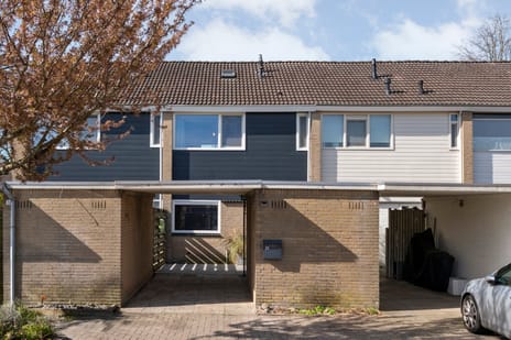 Hercules Segherslaan thumbnail