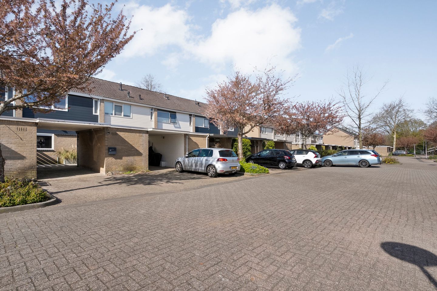 Foto 44 van Hercules Segherslaan 34