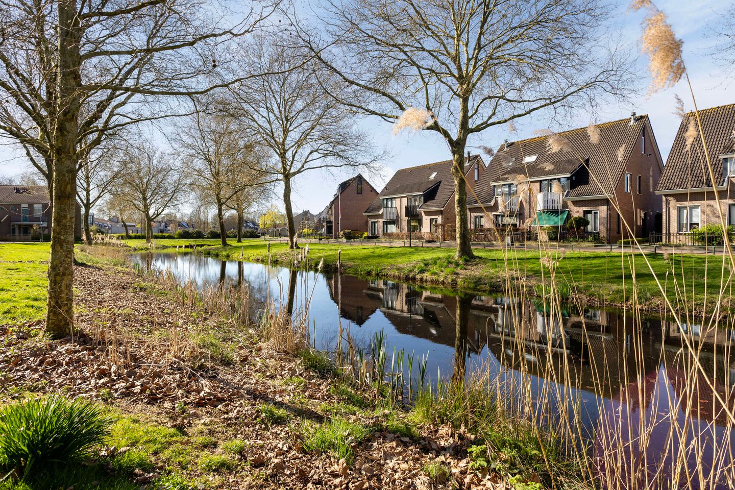 Photo 35 of Zwaluw 37