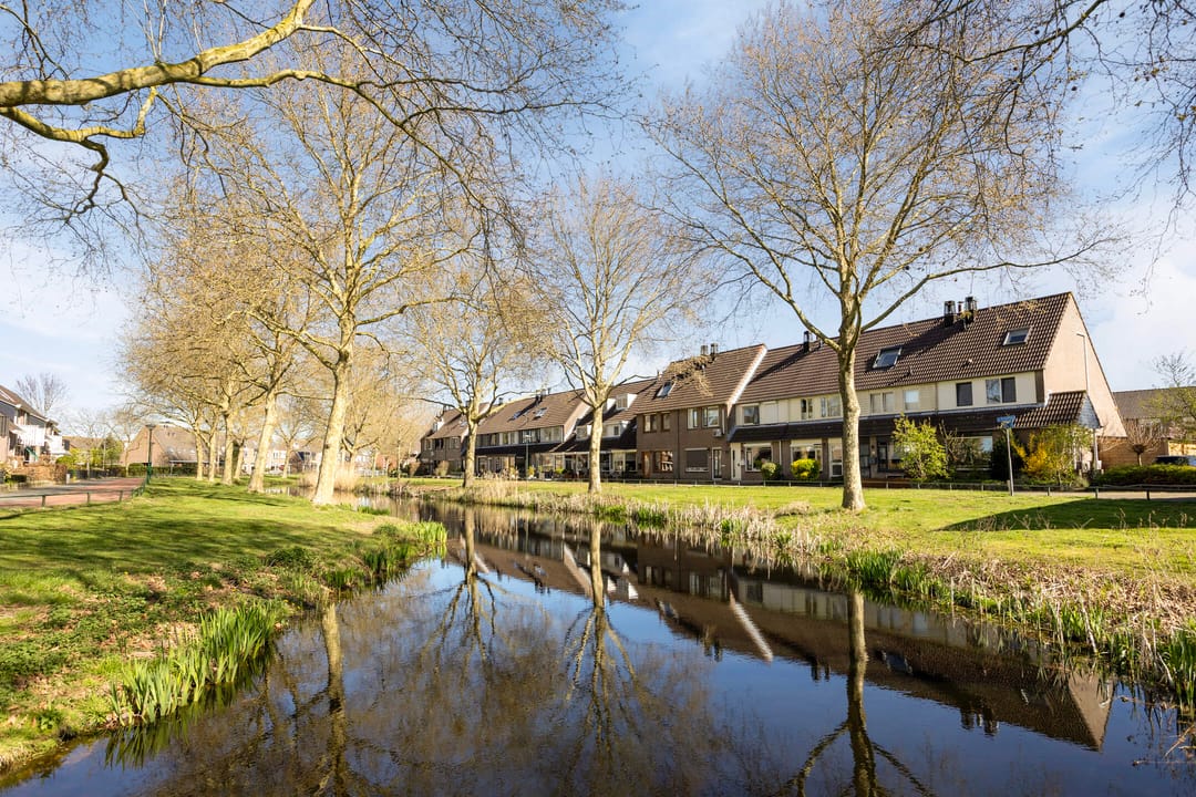 Photo 37 of Zwaluw 37