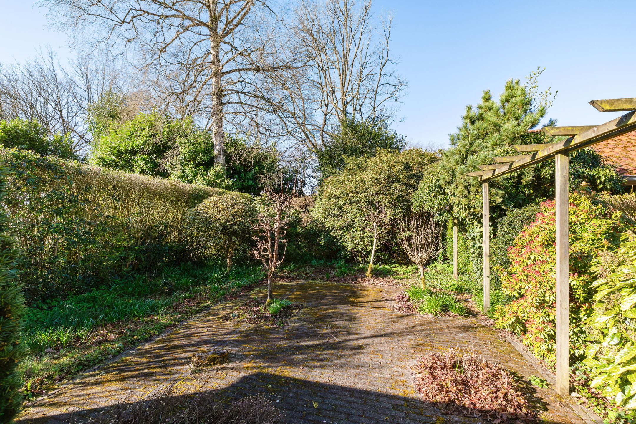 Photo 24 of Schipborgerweg 37