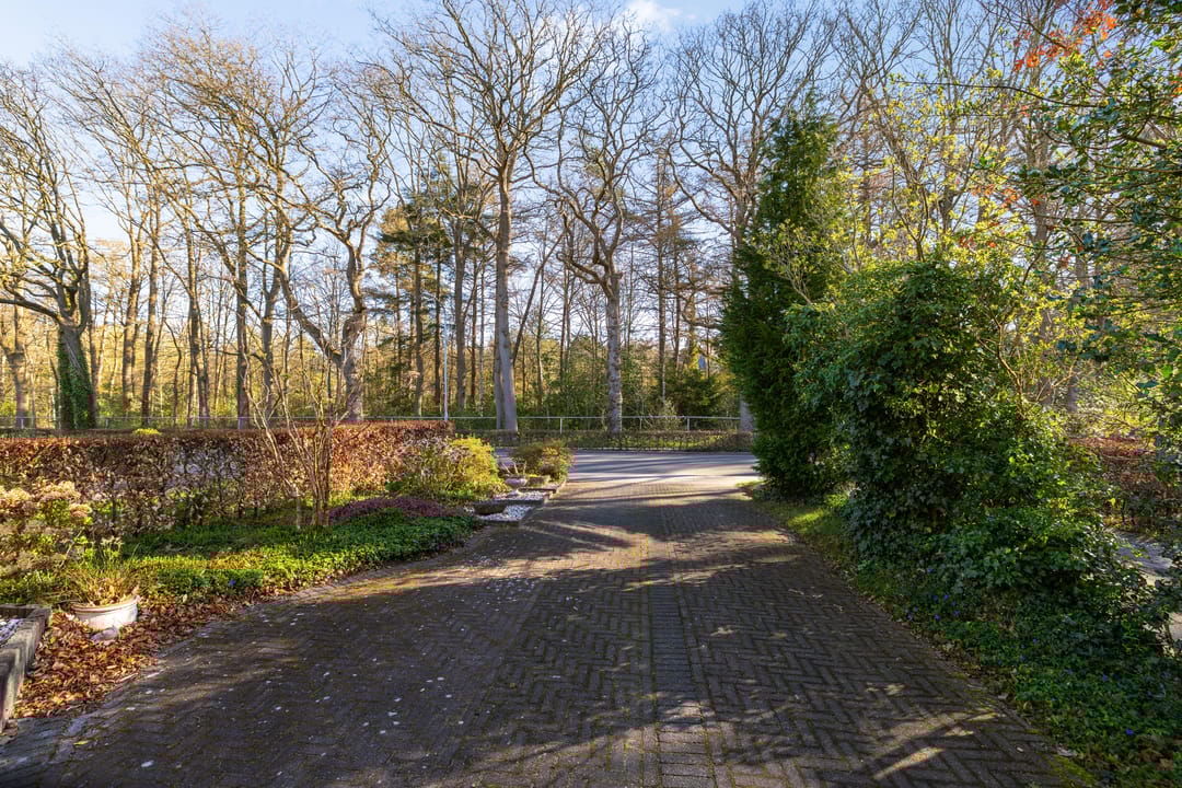 Photo 8 of Schipborgerweg 37