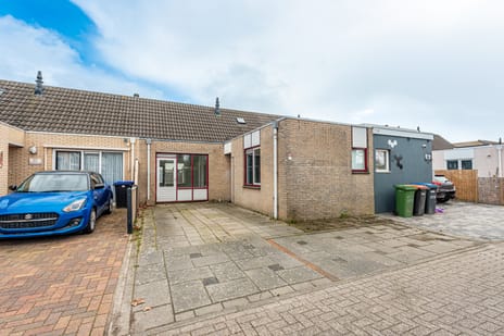 Schoener 12 thumbnail