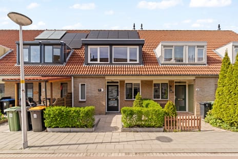 undefined main image