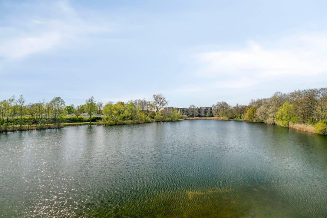 Foto 17 van Bosboompad 21