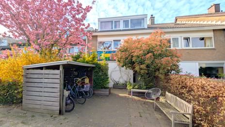 Donsvlinder thumbnail