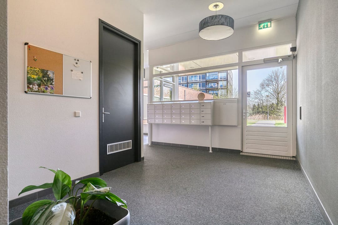 Foto 32 van Bosboompad 21