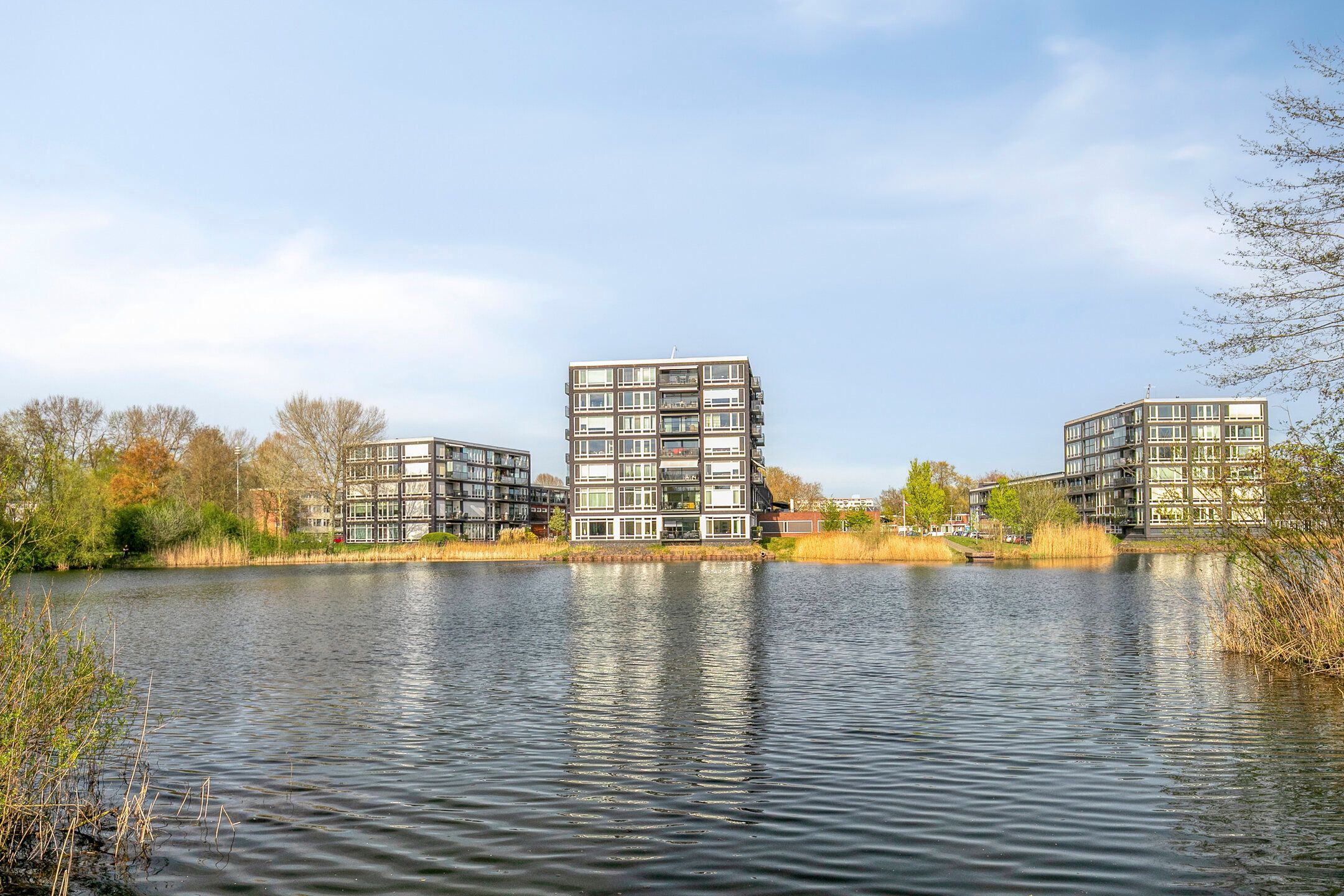 Foto 39 van Bosboompad 21