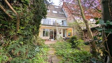 Donsvlinder 50 tertiary image