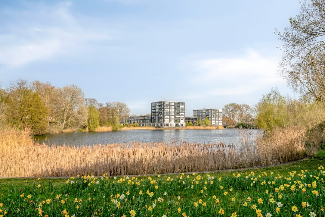 Foto 38 van Bosboompad 21