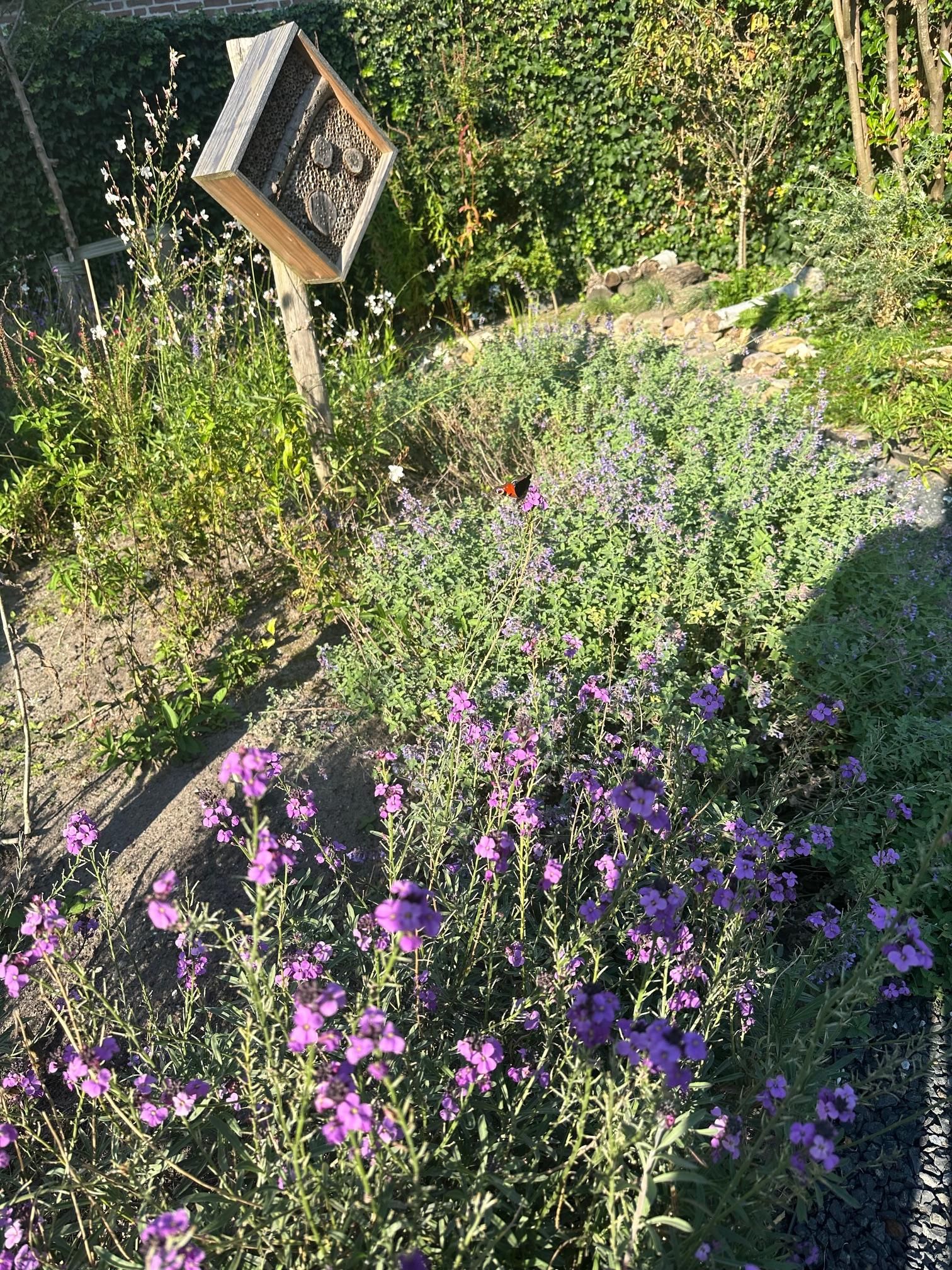 Photo 21 of Gravin Adahof 7