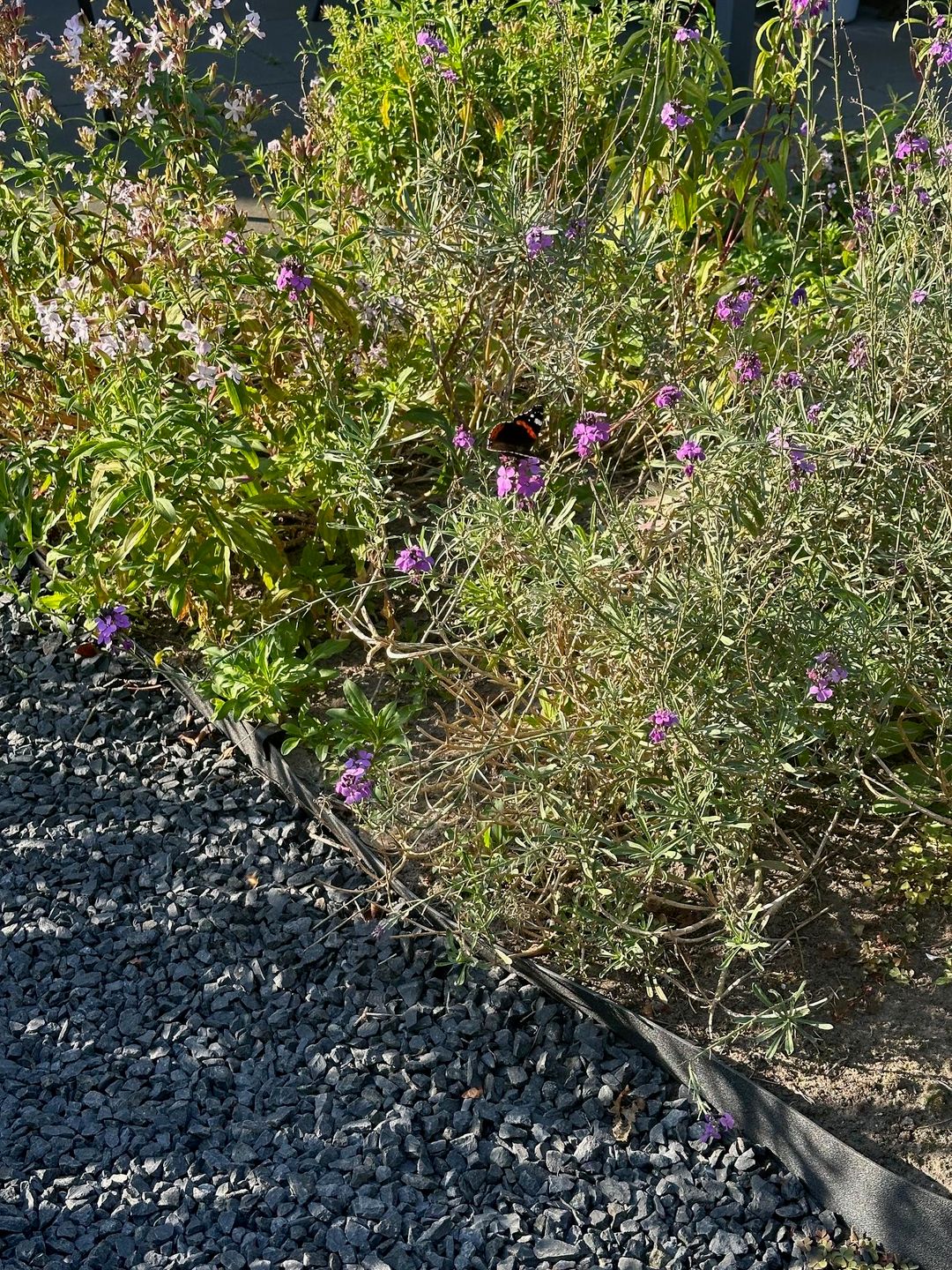 Photo 23 of Gravin Adahof 7