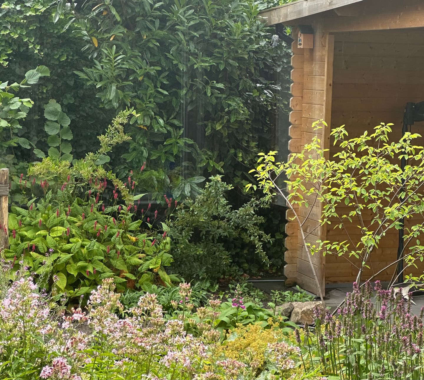 Photo 25 of Gravin Adahof 7