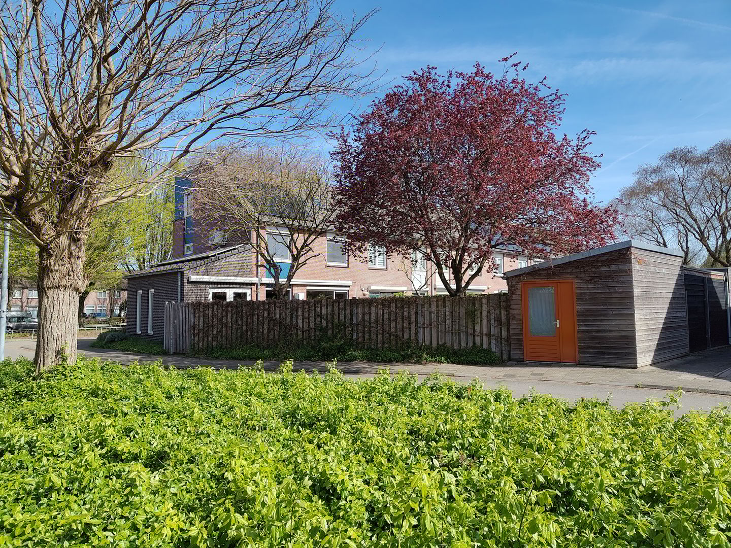 Foto 50 van Norenberg 35