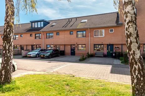 undefined main image