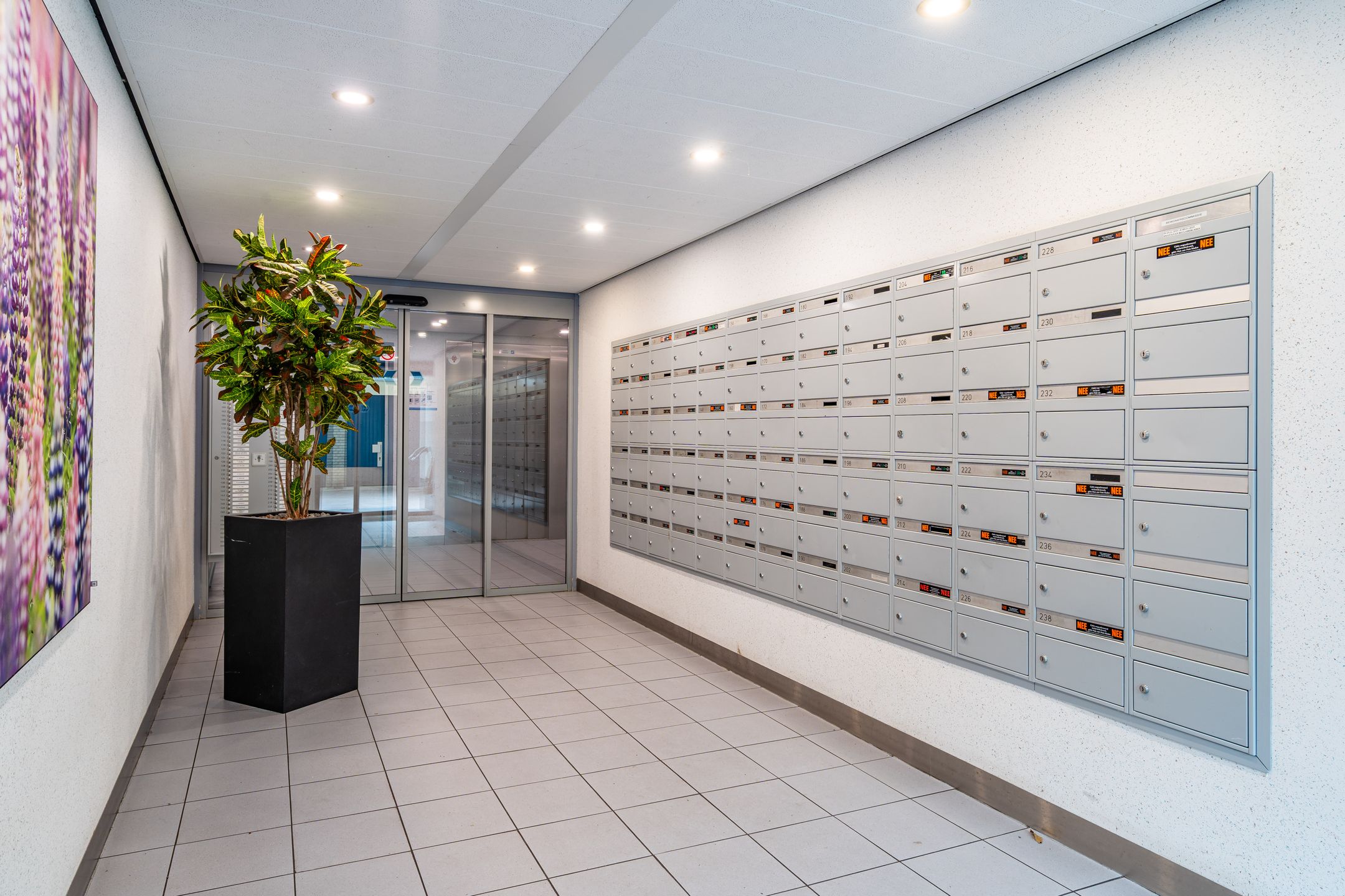 Foto 27 van Lupinesingel 164