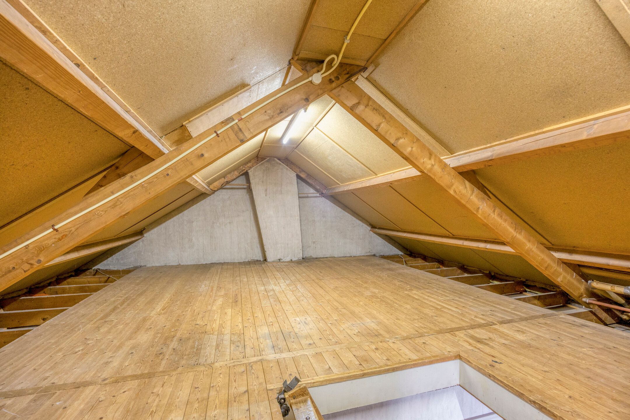 Foto 21 van Hoogepat 10