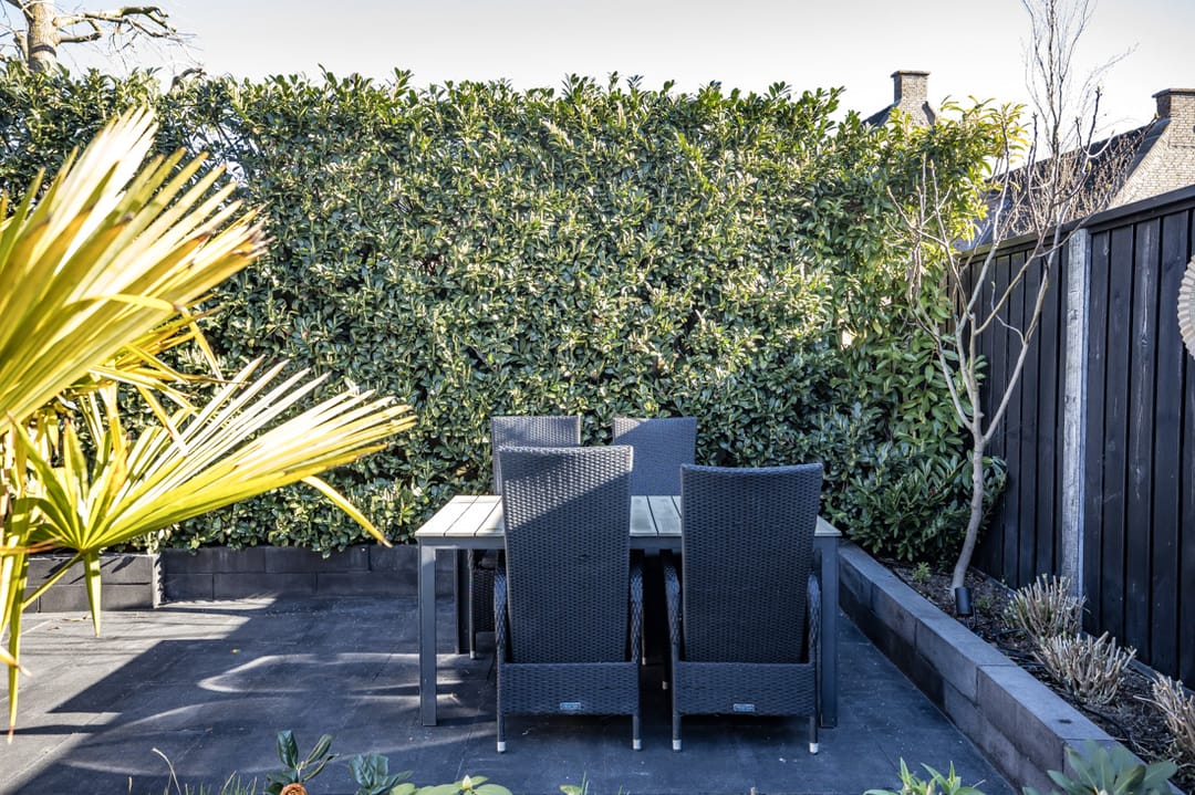 Foto 38 van Border 11