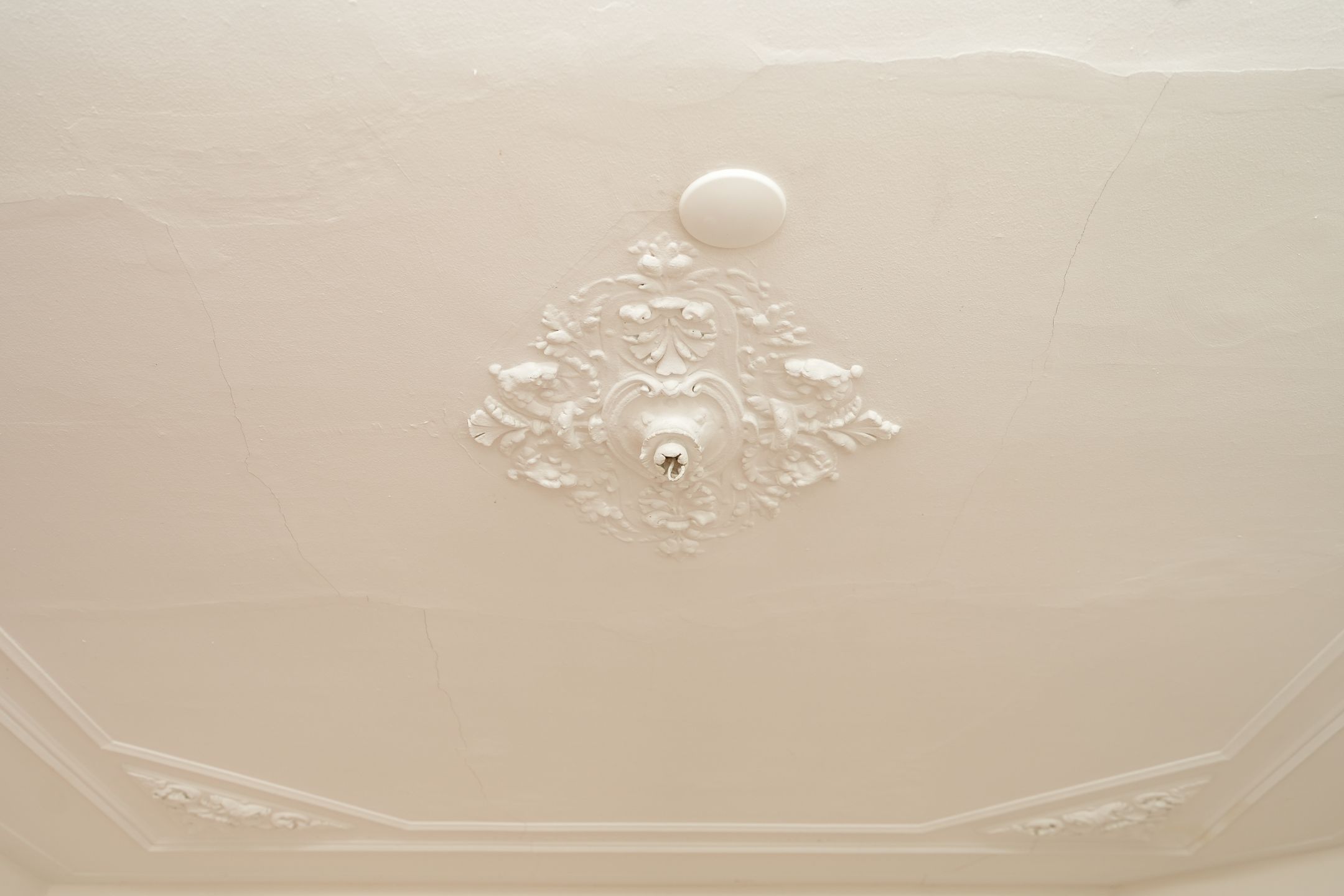 Photo 9 of Burghardt van den Berghstraat 30