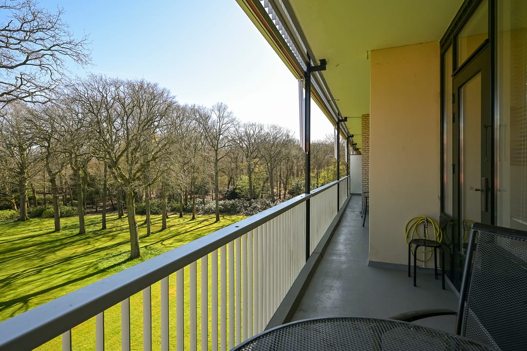 Foto 8 van Stoeplaan 11-F24