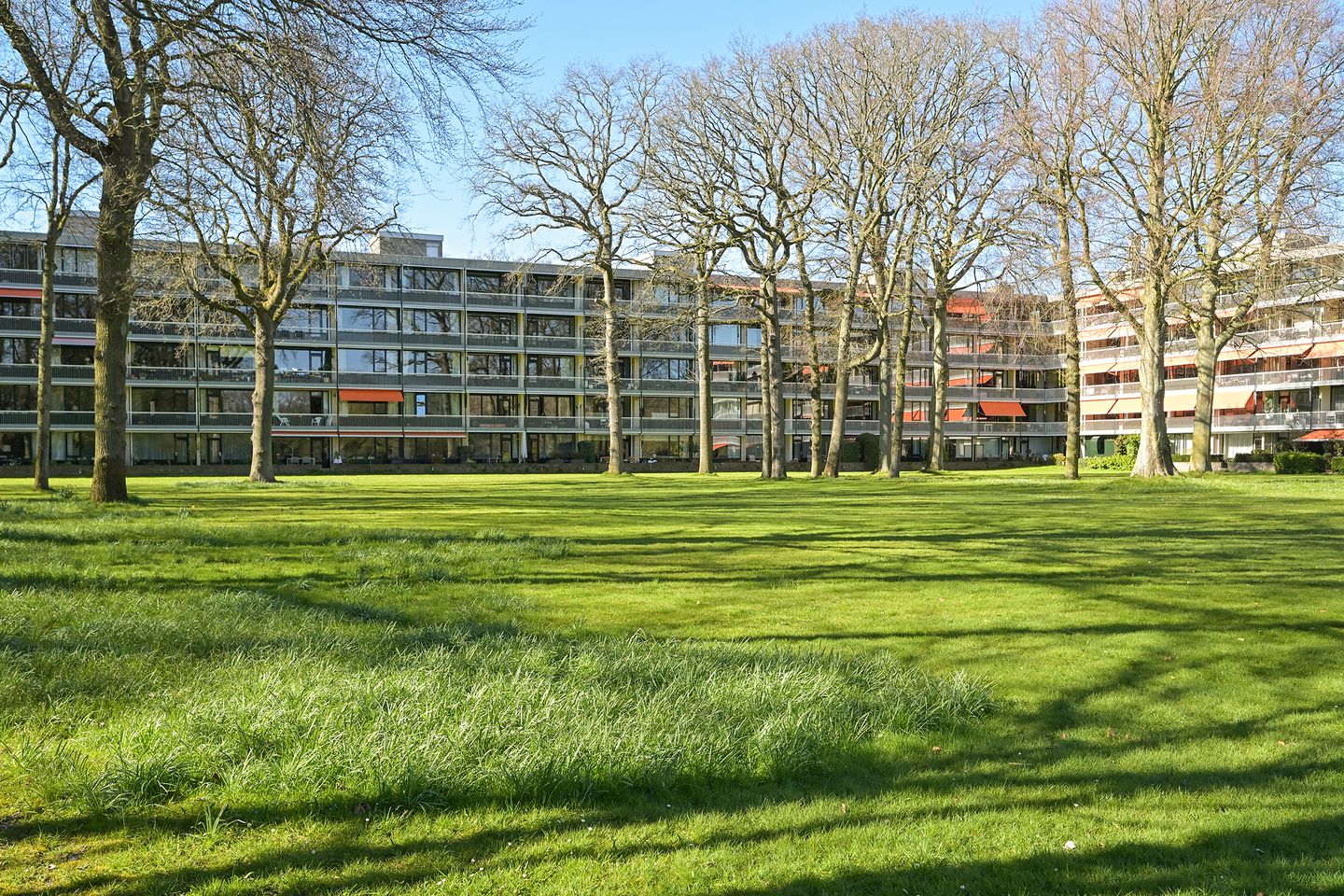 Foto 20 van Stoeplaan 11-F24