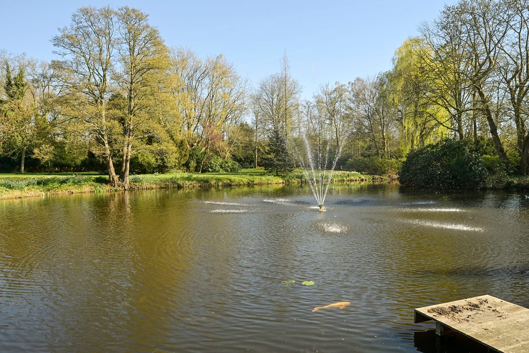 Foto 23 van Stoeplaan 11-F24