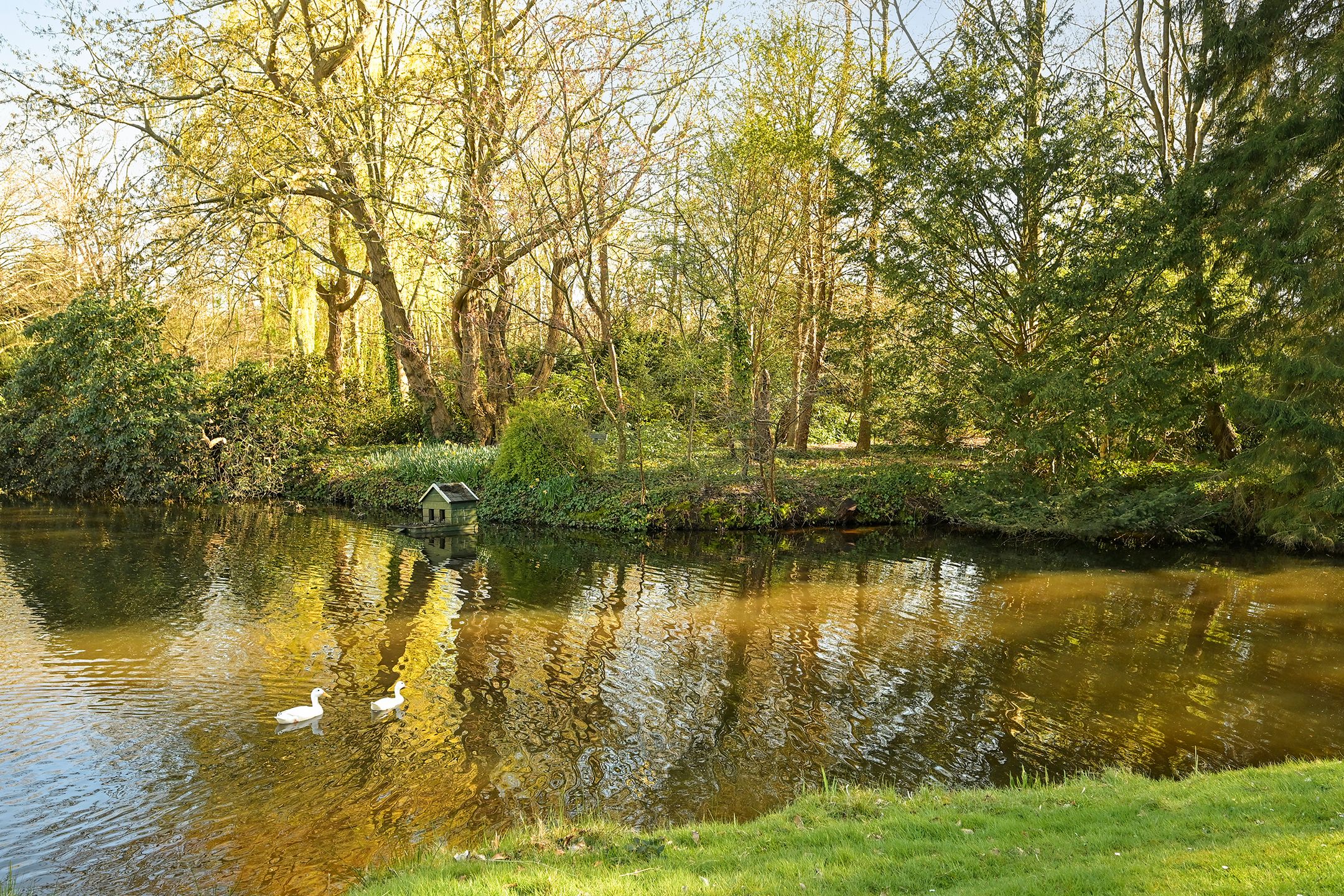 Foto 24 van Stoeplaan 11-F24