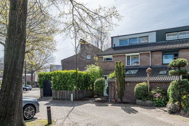 Foto 4 van Nieuwenpolder 53