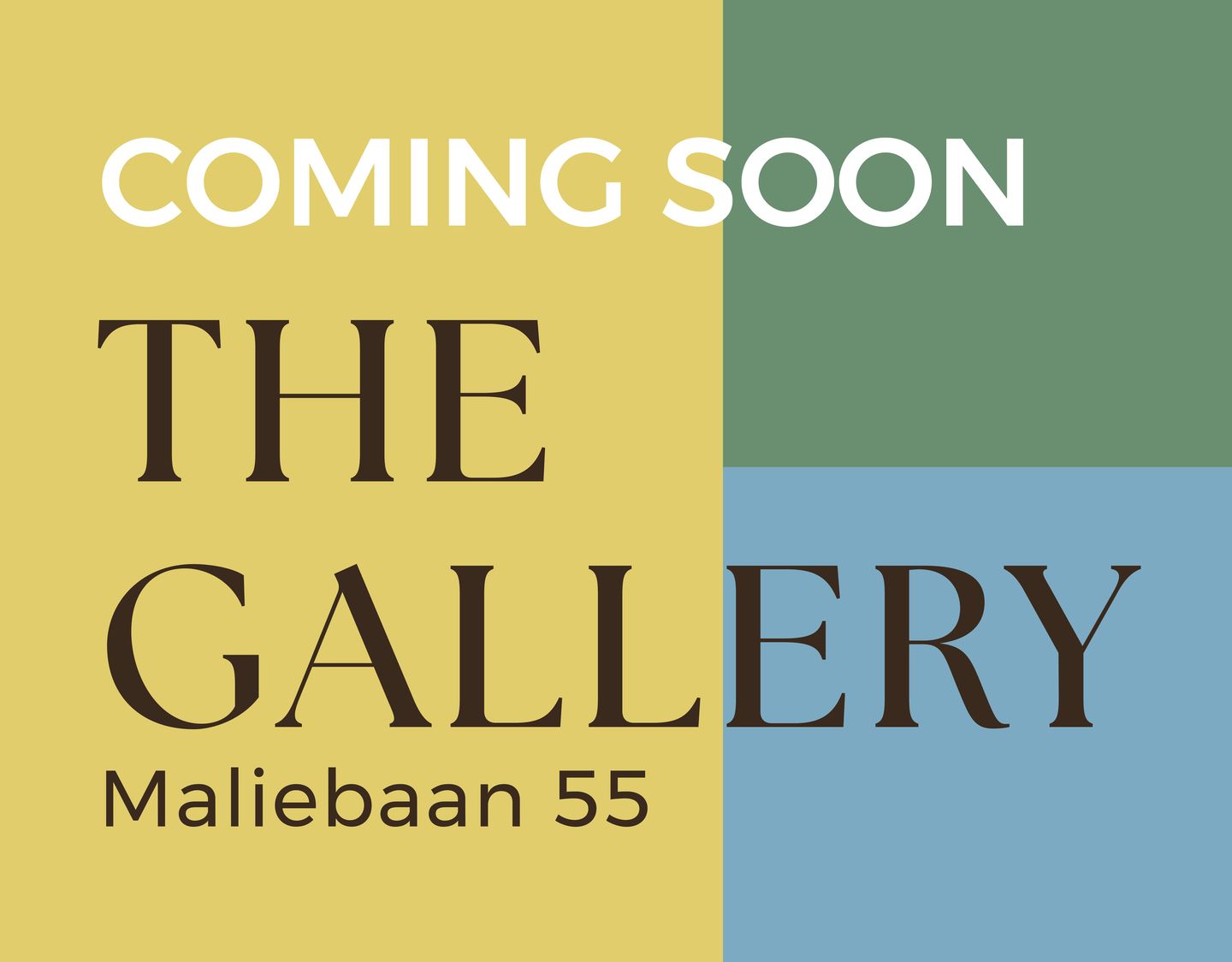 Bekijk foto 1 van Maliebaan 55