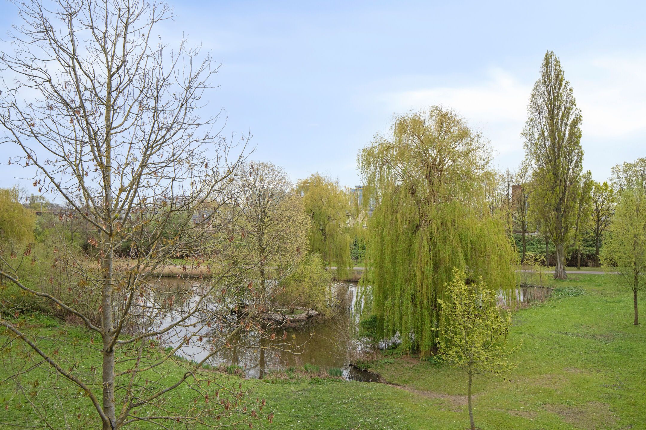 Foto 24 van van der Duyn van Maasdamlaan 120-C