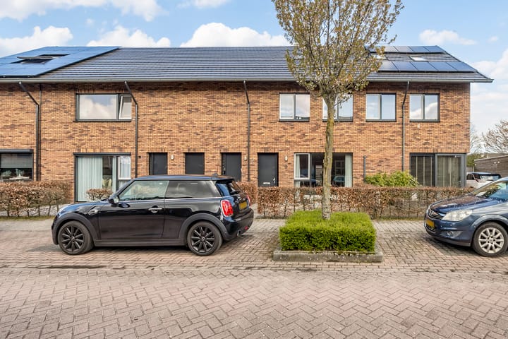 Foto 4 van Golden Champion 9