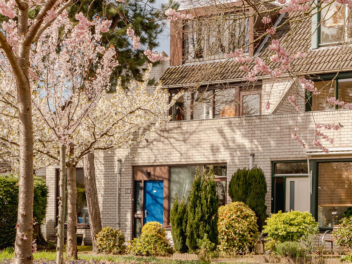 Foto 4 van Hoogheemraadstraat 30