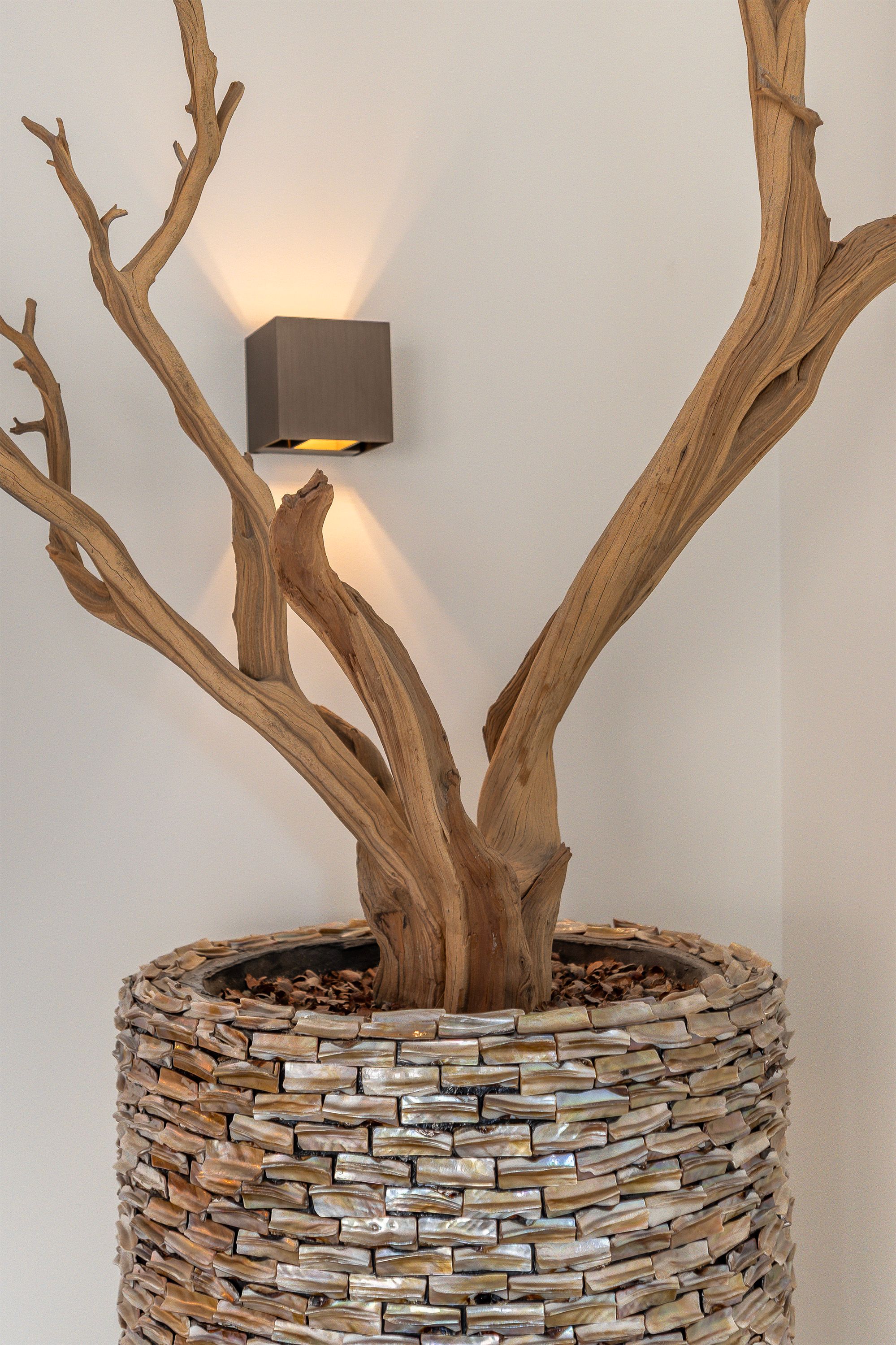 Foto 15 van Geraniumveld 10