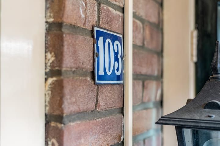 Foto 4 van Spaarnestraat 103