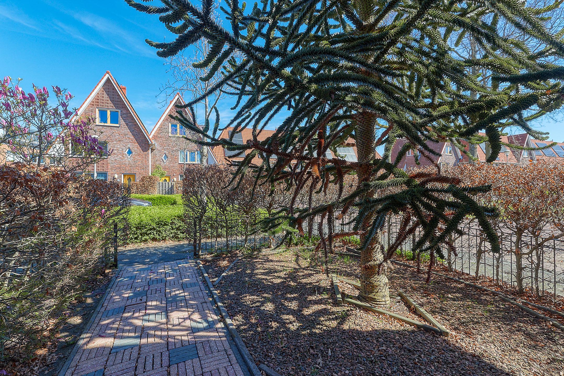 Photo 42 of Kerkuillaan 61