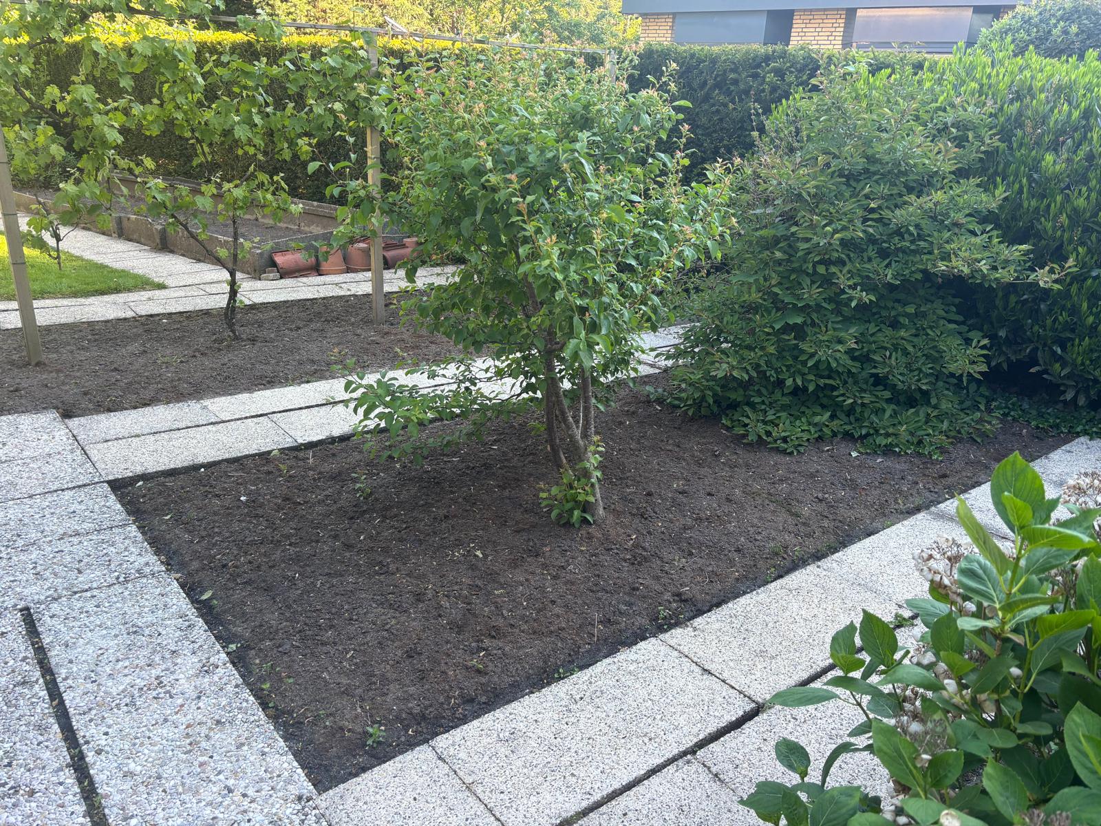 Foto 48 van Kerkdreef 28